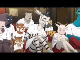 [shiza] outstanding beasts (season 2) / beastars tv2 - episode 3 [mvo] [2021] [russian dub]