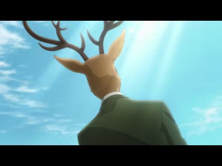 [shiza] outstanding beasts (season 2) / beastars tv2 - episode 1 [mvo] [2021] [russian dub]