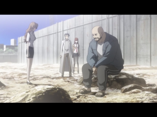 [shiza] steins gate (season 1) / steins;gate tv - episode 20 [mvo] [2011] [russian dub]